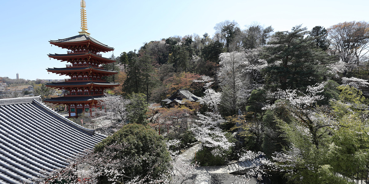 関東三大不動、真言宗智山派別格本山「高幡不動尊金剛寺」。新選組土方歳三の菩提寺。