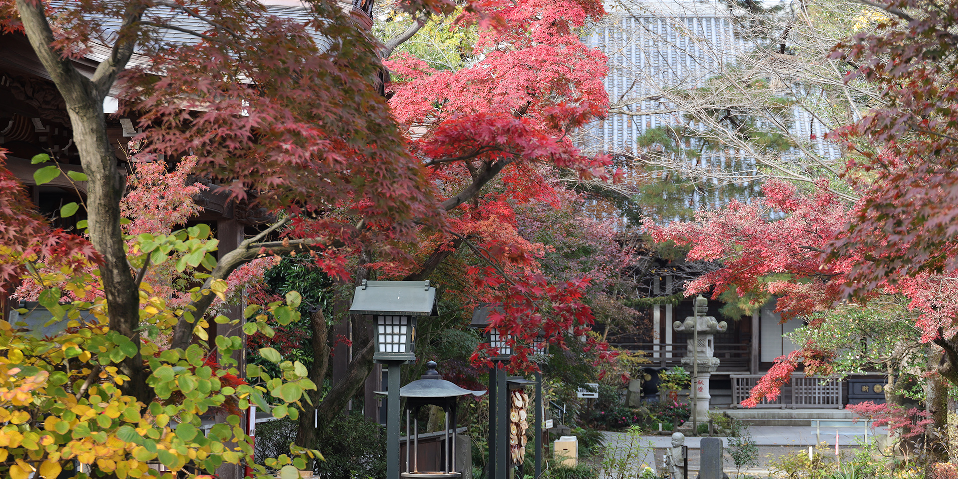 関東三大不動、真言宗智山派別格本山「高幡不動尊金剛寺」。新選組土方歳三の菩提寺。