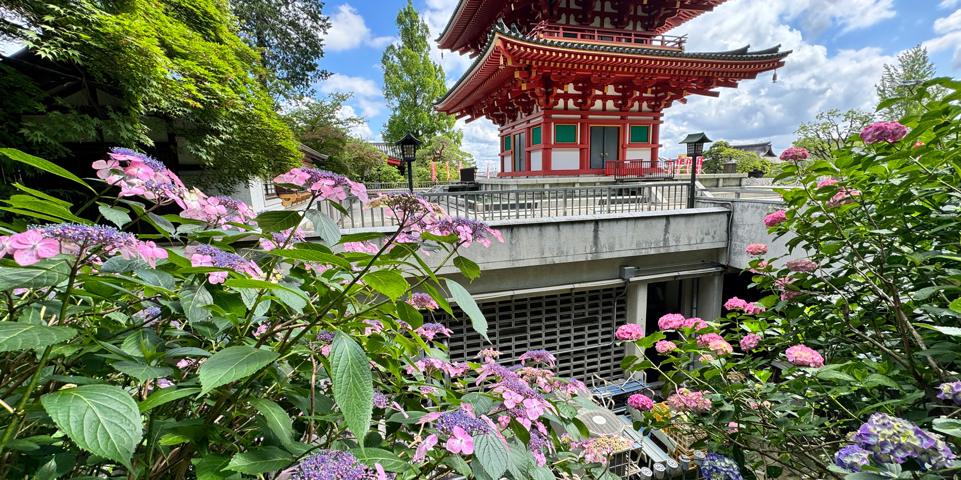 関東三大不動、真言宗智山派別格本山「高幡不動尊金剛寺」。新選組土方歳三の菩提寺。