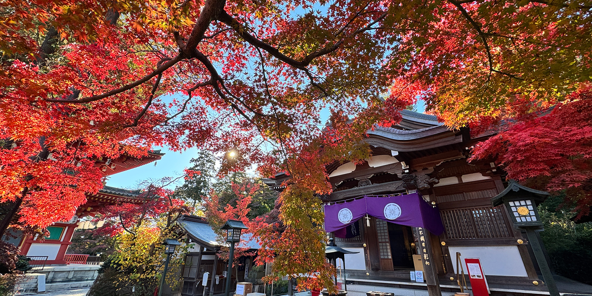 関東三大不動、真言宗智山派別格本山「高幡不動尊金剛寺」。新選組土方歳三の菩提寺。