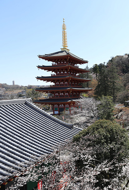 関東三大不動、真言宗智山派別格本山「高幡不動尊金剛寺」。新選組土方歳三の菩提寺。