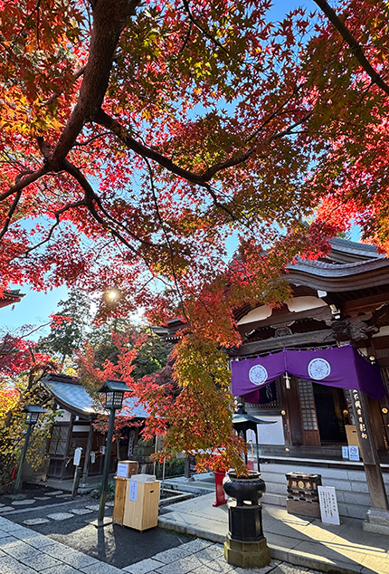 関東三大不動、真言宗智山派別格本山「高幡不動尊金剛寺」。新選組土方歳三の菩提寺。