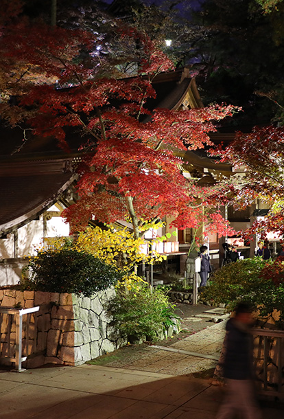 関東三大不動、真言宗智山派別格本山「高幡不動尊金剛寺」。新選組土方歳三の菩提寺。