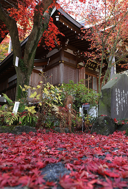 関東三大不動、真言宗智山派別格本山「高幡不動尊金剛寺」。新選組土方歳三の菩提寺。